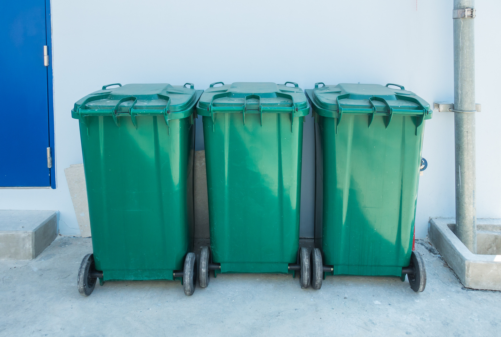 Green recycle bin or three trash bins